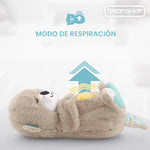 💚 PELUCHE 'NUTRIA RESPIRA CONMIGO' ® 🎁 [Oferta Navidad] 🎅 [Envío Gratis] 🚛